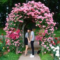 甜蜜情侣头像一对两张