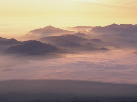 牵牛花唯美句子