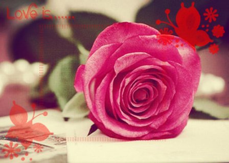 关于纯真爱情的句子