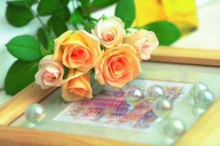 很诗意的句子爱情