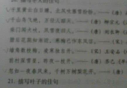 描写冬天的句子