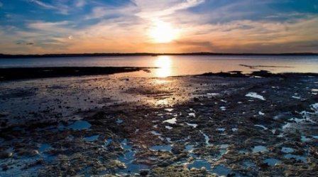 描写大海的句子