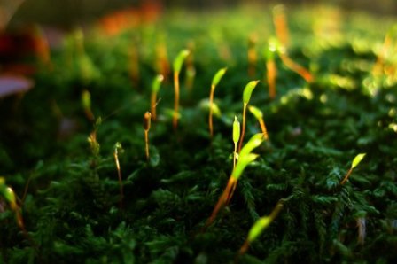 关于离开的伤感说说