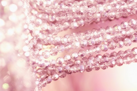 关于专心学习的名言