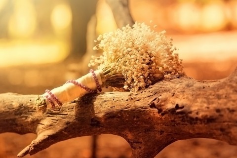 表白的话感人的英文