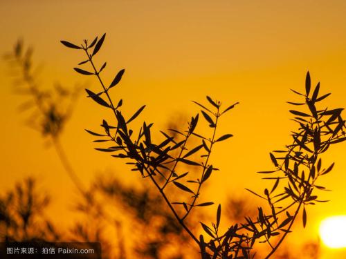 读书的唯美句子
