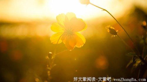 关于生活坎坷的句子