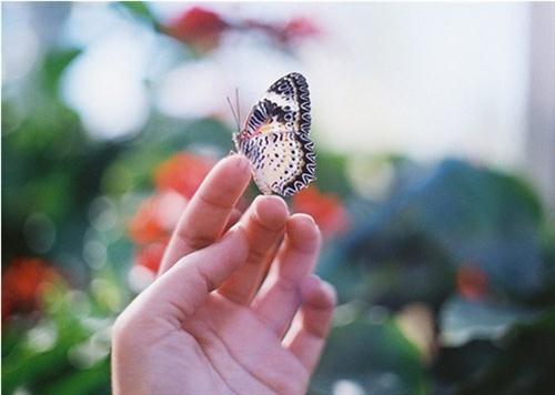 描写紧张害怕的句子