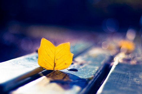 很有意义的句子