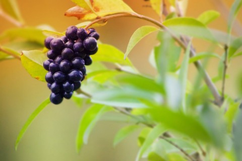 很有意义的句子