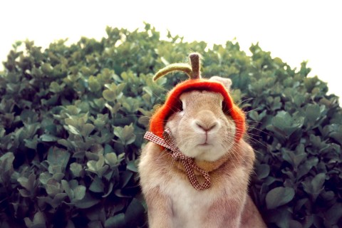 描写人忧郁的句子