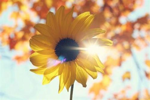 关于谈恋爱的句子