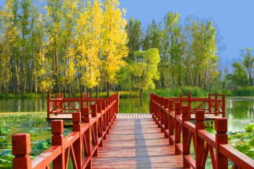 关于景物的句子