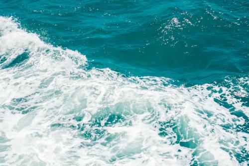 关于大海的句子