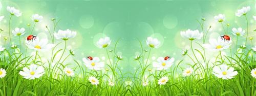 描写早晨太阳的句子