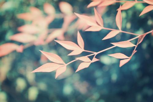 描写大海唯美句子