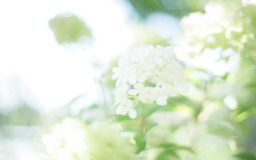 描写大海唯美句子