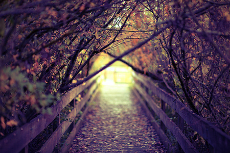 2018美到心痛的句子