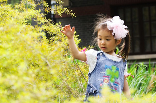 爱情一句话短句