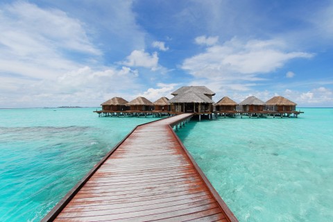 关于早上好的说说