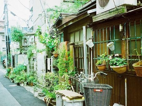 关于作业的说说