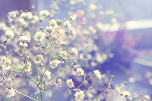 感恩分享的句子