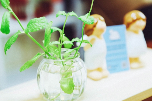 最具正能量的一句话