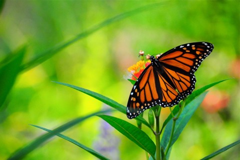 形容关心一个人的句子