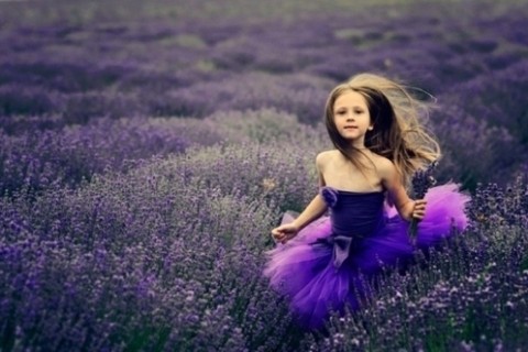 关于晚安的说说心情短语