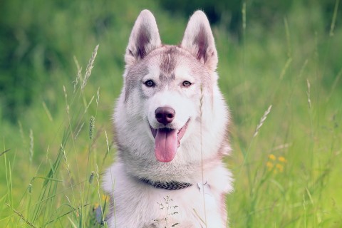 表达自己错了的句子