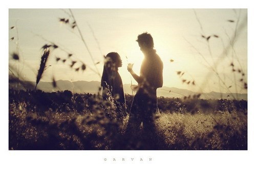 优美段落摘抄句子