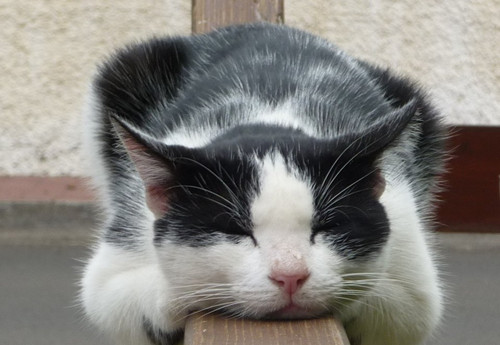 关于觉悟的说说