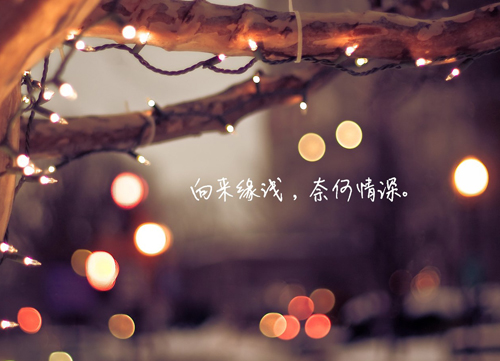 描写平凡的句子