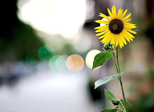 暖心窝的情话句子，因为你我相信真爱！