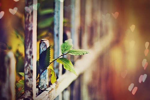 暖心窝的情话句子，因为你我相信真爱！