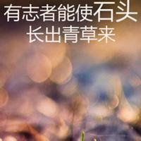 微信奋斗励志头像 2019励志微信头像