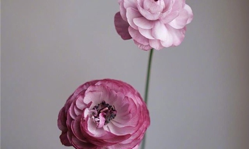 祝三八妇女节快乐微信朋友圈说说