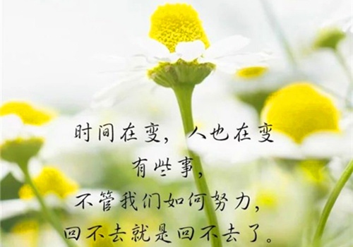 抖音关于婚姻的金句 婚姻感悟的句子