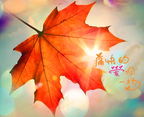 微信朋友圈最耀眼的句子，说的太好了！