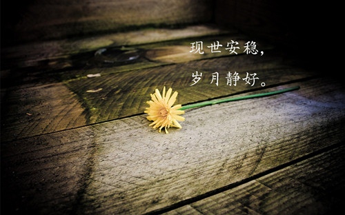 每日一句话正能量经典语录,找一句送给自己!