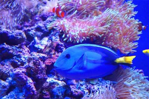 世界上最简单最简短的句子，句句优美！