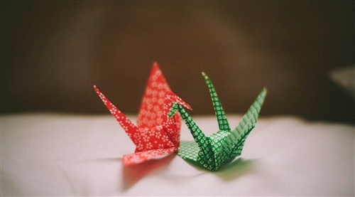 我养你的暖心句子 一句我养你的感动句子