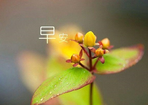 早晨发朋友圈的话语鼓励,读完元气满满!