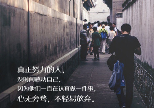 努力就会有收获的句子 努力和收获的经典语录