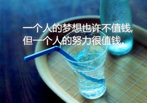 努力就会有收获的句子 努力和收获的经典语录