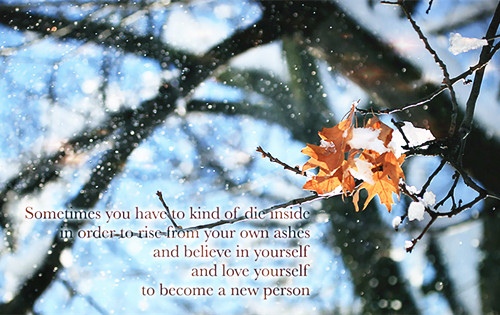 适合发朋友圈的励志语