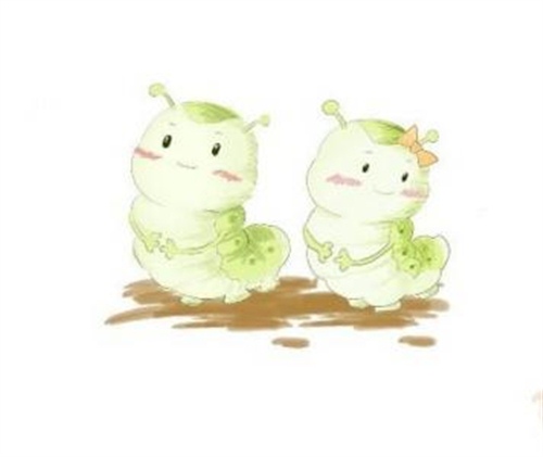 关于蚕茧的好句子 描写蚕破蛹而出的好句