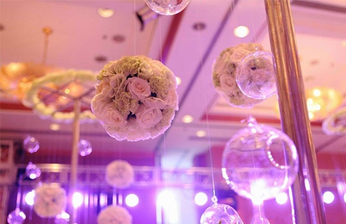 对于生活不矫情的句子 不矫情努力的句子