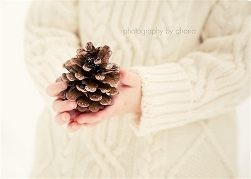 关于梦想的文艺唯美句子 我的梦想唯美句子