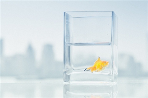 关于梦想的文艺唯美句子 我的梦想唯美句子